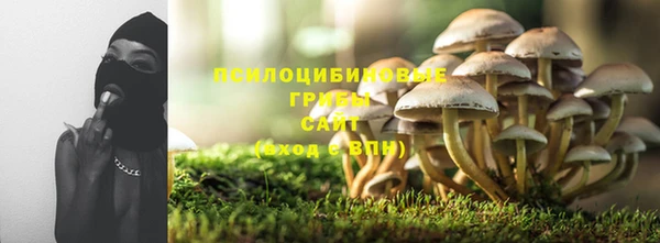СК Козловка