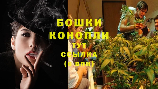 молекула духа Краснослободск