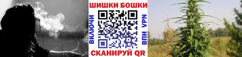цена наркотик  площадка телеграм  Марихуана Ganja  Кузнецк  kraken зеркало 